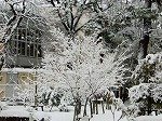 DSCN0091.jpg