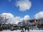 DSCN9982.jpg