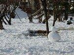 DSCN0016.jpg