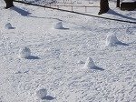 DSCN0179.jpg