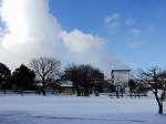 DSCN0462.jpg