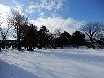 DSCN0475.jpg