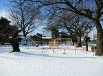 DSCN0476.jpg