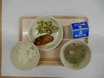 DSCN0556.jpg