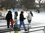 DSCN0559.jpg