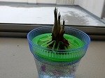 DSCN0592.jpg