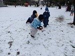 DSCN0681.jpg
