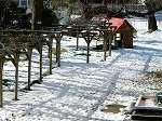 DSCN9933.jpg