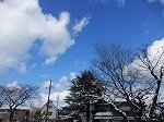 DSCN9956.jpg