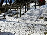 DSCN9930.jpg