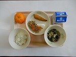 DSCN0717.jpg