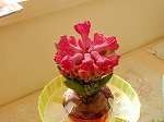 DSCN0215.jpg