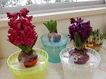 DSCN0054.jpg