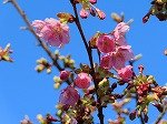 IMG_1459.jpg