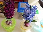 IMG_0221.jpg