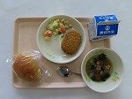 IMG_0565.jpg