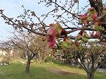 IMG_1060.jpg