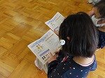 IMG_1136.jpg