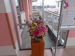 IMG_1192.jpg
