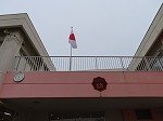 IMG_1199.jpg