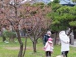 IMG_1303.jpg