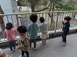 IMG_1430.jpg