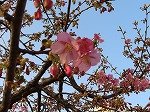 IMG_1530.jpg
