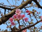 IMG_1535.jpg