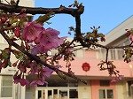 IMG_1539.jpg