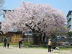 IMG_2983.jpg