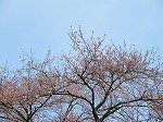 IMG_3794.jpg