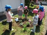 IMG_5856.jpg