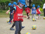 IMG_3421.jpg