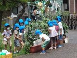 DSC08457.jpg