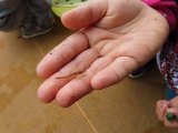 IMG_3122.jpg