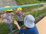 IMG_3128.jpg
