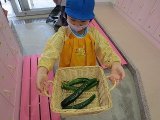 IMG_3640.jpg