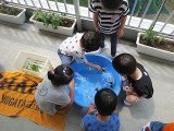 IMG_3767.jpg