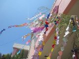 IMG_4134.jpg