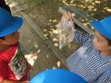 IMG_5373.jpg