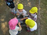 IMG_5378.jpg
