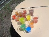 DSC09428.jpg