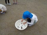 DSC09993.jpg