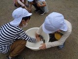 DSC09995.jpg