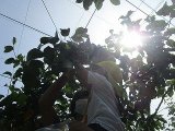 IMG_2347.jpg