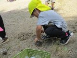 IMG_2372.jpg