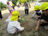 IMG_2373.jpg