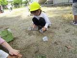 IMG_2375.jpg