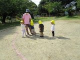 IMG_2378.jpg