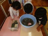 IMG_2381.jpg
